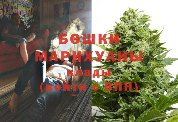 спиды Бронницы